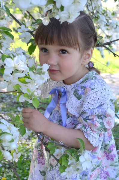 Kleines Mädchen Mit Schönen Tulpen — Stockfoto