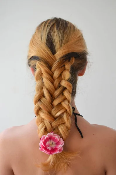 一个带着郁金香哥伦布的美丽 Hairdress 的女孩 头发编织与四股 — 图库照片