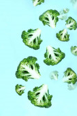 Padající zelené brokolice plátky na modrém pozadí. Koncept létání potravin, zelená zelenina, dietní jídlo, zelenina vzor. Kopírovat prostor pro text.
