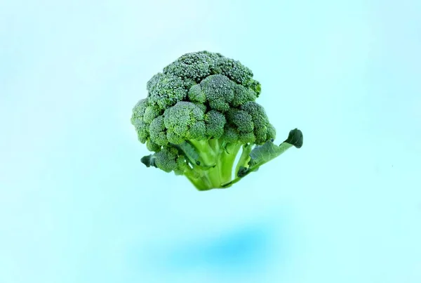 Mavi Arka Planda Uçan Yeşil Brokoli Uçan Yiyecekler Yeşil Sebzeler — Stok fotoğraf