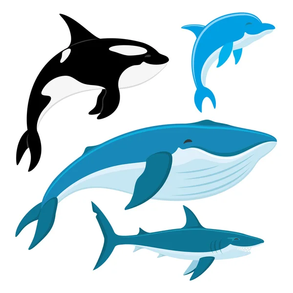 Ballena asesina, delfín, ballena, tiburón . — Vector de stock