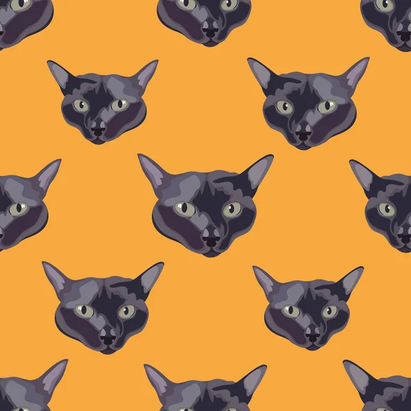Fin katt på en orange bakgrund. — Stock vektor