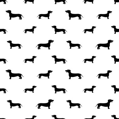 Dachshund Köpek sorunsuz arka plan.