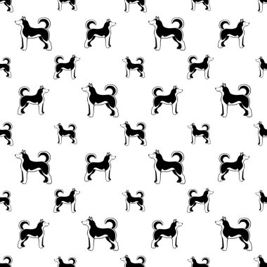 Sibirya husky köpek sorunsuz arka plan.