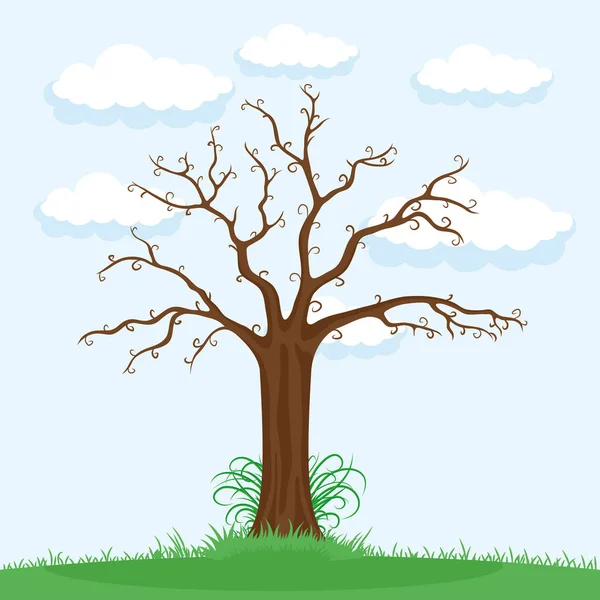 Strom bez listí. — Stockový vektor