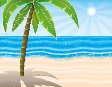 Güzel tropikal plaj.