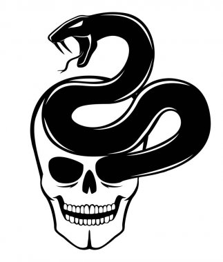 yılan ve kafatası.