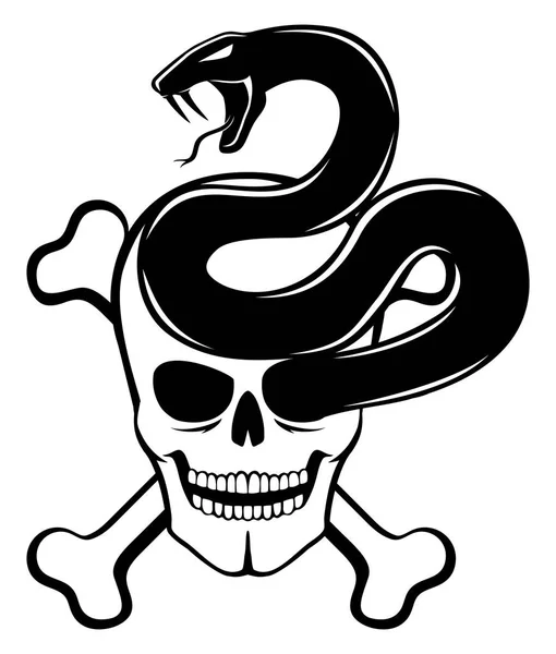 Serpiente y cráneo. — Vector de stock