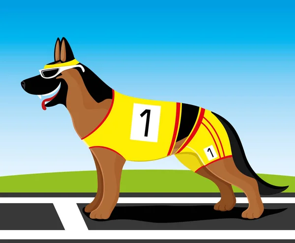 Schäferhund in Sportuniformen. — Stockvektor