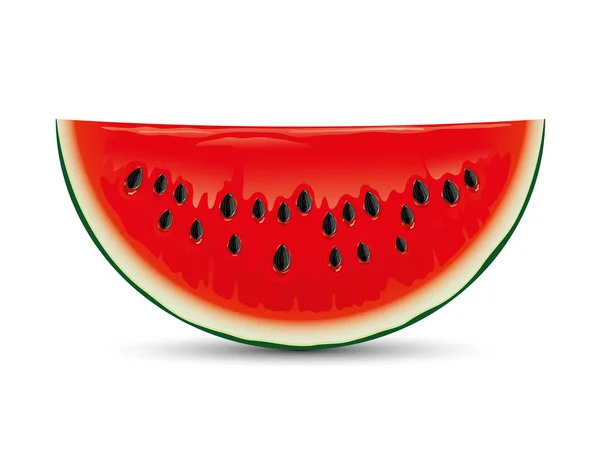 Red ripe watermelon. — Stock Vector