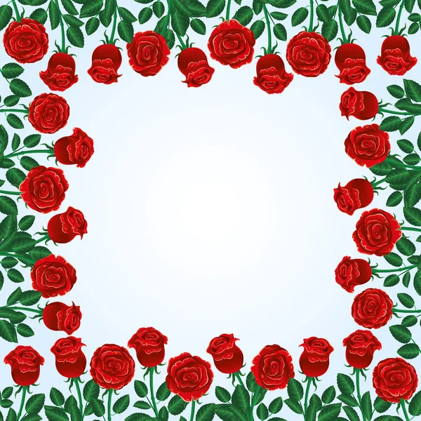 Red roses frame on a white background.
