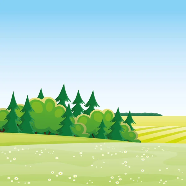 牧草地と木々 の美しい夏の風景 — ストックベクタ
