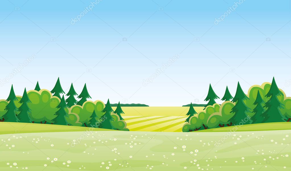 Beautiful summer landscape with meadow and trees.