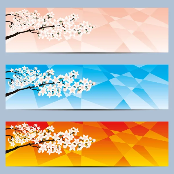 Conjunto Banners Web Con Flores Cerezo — Vector de stock
