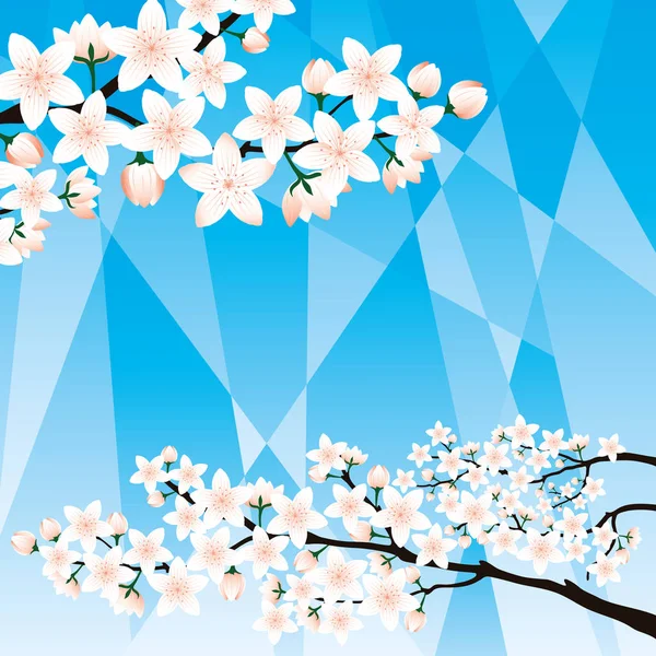 Spring Illustration Cherry Blossoms — Stock Vector