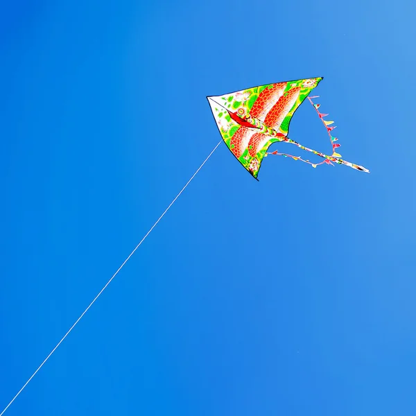 Pipa voando no céu azul — Fotografia de Stock