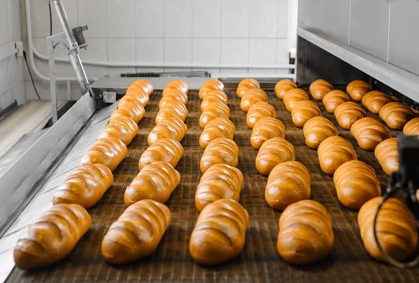 Fresh white bread from the oven — Stock Photo, Image