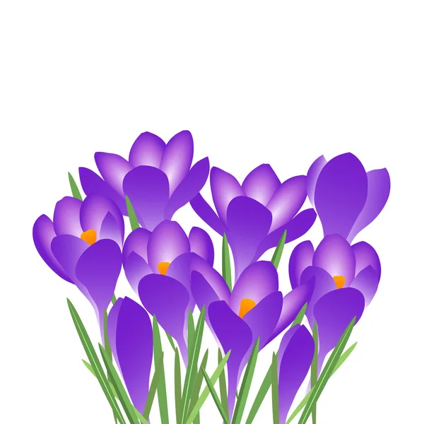 Bouquet de belles fleurs. — Image vectorielle