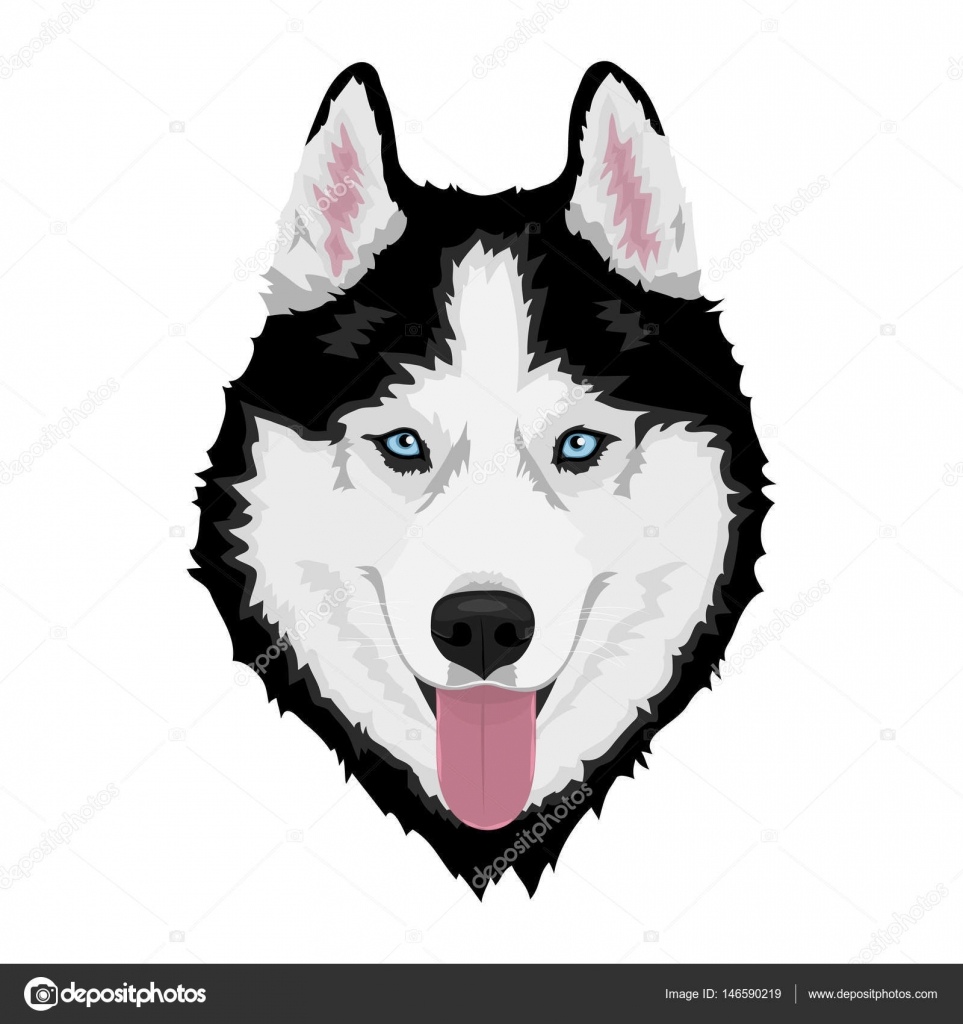 Siberian husky dog Stock Vector Image by ©format35 #146590219
