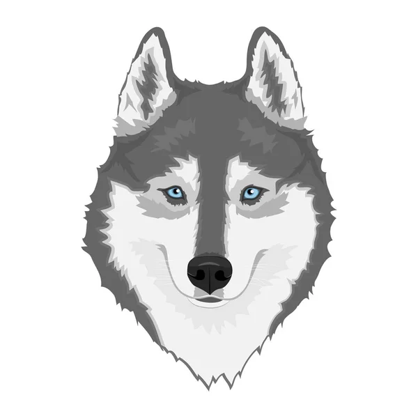 Siberische Husky hond — Stockvector