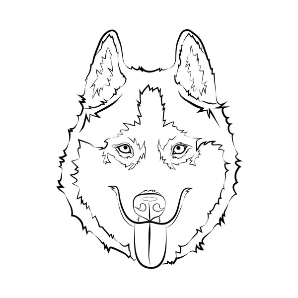 Dibujos: huskys | Dibujo de perro Husky — Vector de stock © Diana