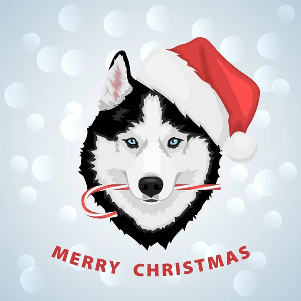 Weihnachten Husky Dog — Stockvektor