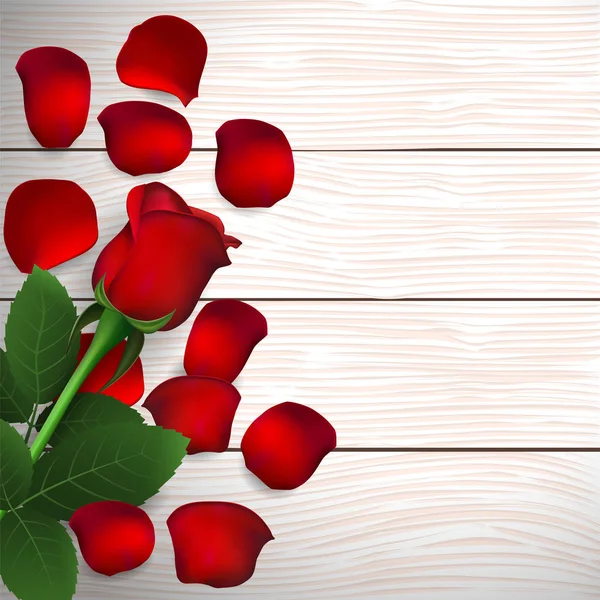 现实的红玫瑰 — 图库矢量图片