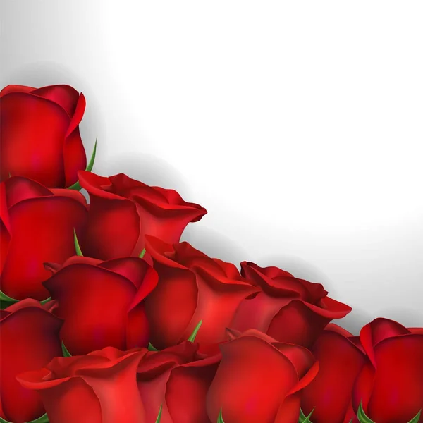 Κόκκινα τριαντάφυλλα φόντο — Διανυσματικό Αρχείο
