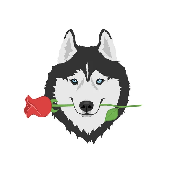 シベリアハスキー犬 — ストックベクタ