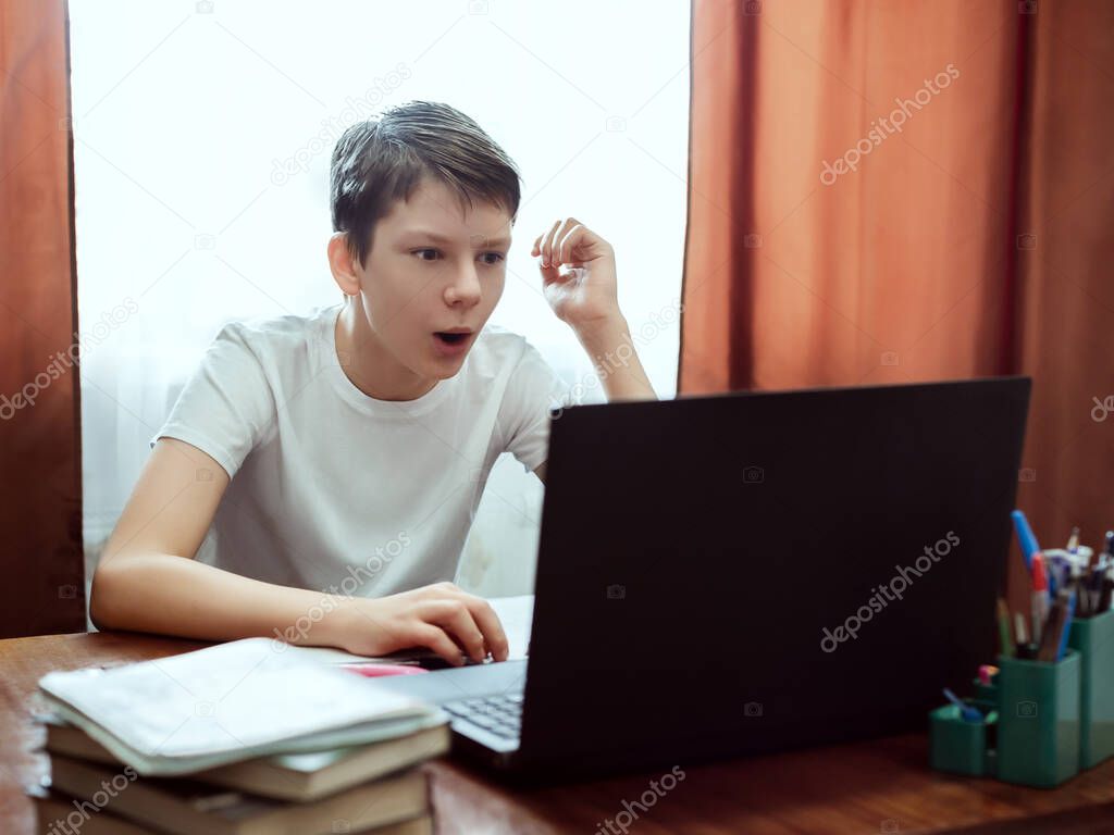 Schoolboy with laptop at home
