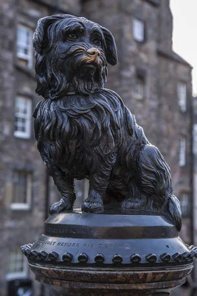 Graue Mönche Bobby berühmten schottischen Hund Statue — Stockfoto