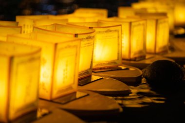 Yüzen Lamba, suyun yüzeyinde yüzen bir lamba türüdür. Nehir lambası ya da göl lambası olarak da bilinir. 