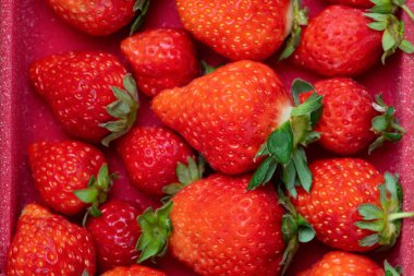 Tahta masada beyaz porselen tabakta taze çilekler.