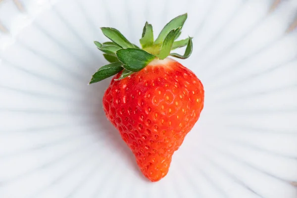 One Fresh Strawberry White Porcelain Plate — Stock Photo, Image