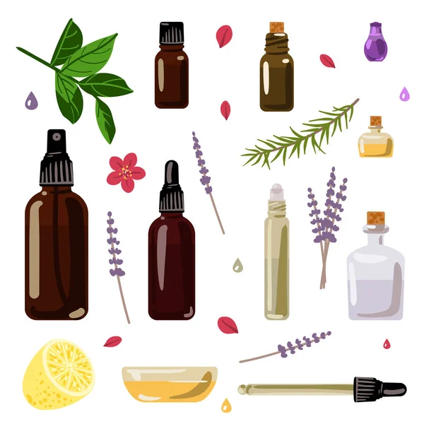 Cam şişelerde ve aromatik bitkilerde aromatik yağ koleksiyonu. Vektör.