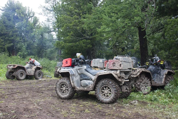 Large dirt-covered ATVs with red cans standing in a beautiful coniferous forest — Stock Photo, Image