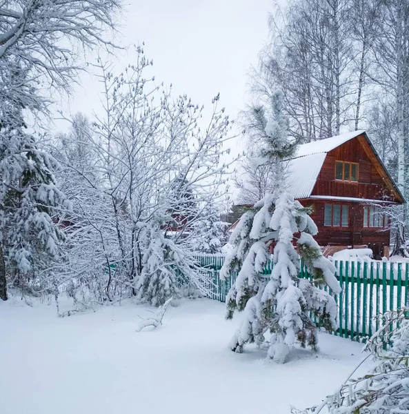 Invierno, mucha nieve, Hermosa casa de campo de madera, árboles nevados, cerca verde — Foto de Stock