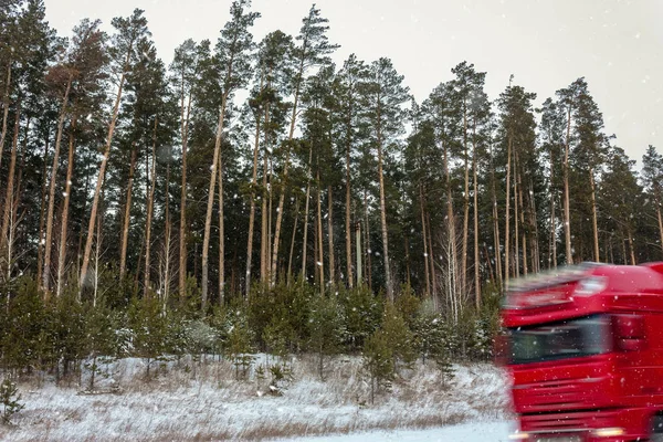 Çam ormanındaki yol. Kış, kar yağıyor. Kırmızı kamyonlar.