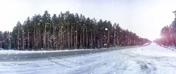 Panorama Winter Pine Forest Covered Snow Mostly Cloudy Weather View — Stock Photo, Image