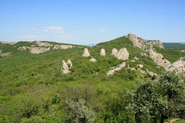 Kırım 'daki İlyas-Kaya dağının tepesinde.