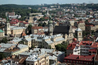 Lviv 'deki evlerin ve kiliselerin güzel çatıları