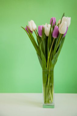 Yeşil arka planda cam bir vazoda çiçek laleleri. Güzel çiçekler..