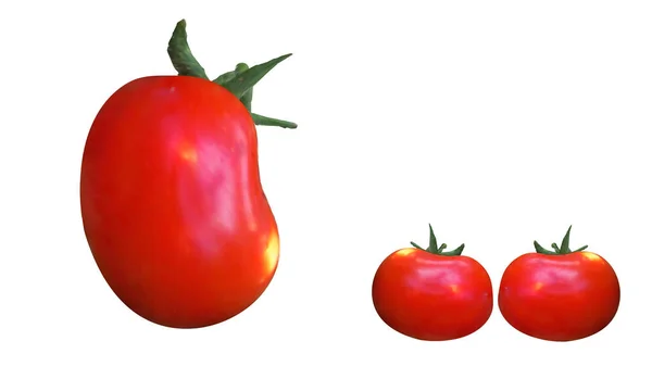 Fotorealistische rote Tomate isoliert auf weißem Hintergrund. — Stockvektor