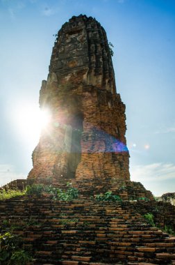 Yalnız ayakta Prang 