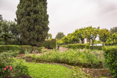 Roma 'daki Palatine Gardens