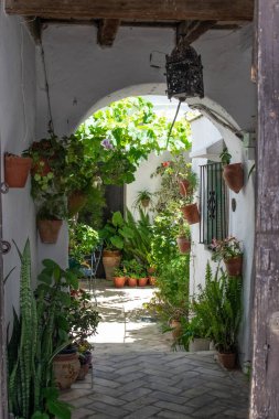 Vejer de la Frontera Caddesi. İspanya 'nın güneyindeki bir kasaba..