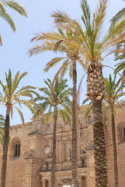 Güney İspanya 'daki Almeria Katedrali. Akdeniz 'de. Endülüs