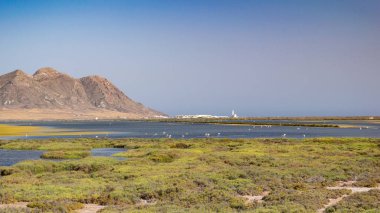 İspanya 'nın güneyindeki Cabo de Gata doğal parkının manzarası. Almeria, Endülüs. Akdeniz