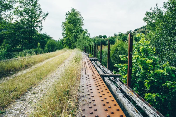 Altes Bahngleis Zwischen Bäumen Bei Bewölktem Himmel — Stockfoto