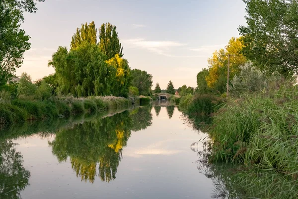 Canal Castilla Atardecer Con Árboles Orillas Provincia Palencia Castilla León — Foto de Stock
